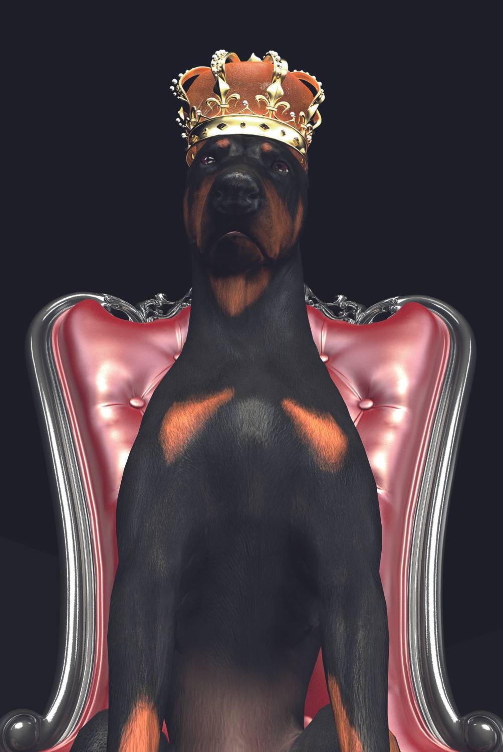 Obraz na stenu DOG IN CROWN